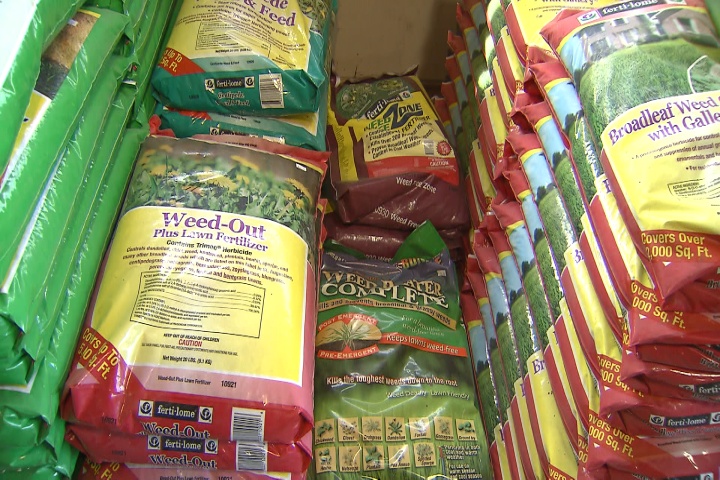 Tackle weeds during winter